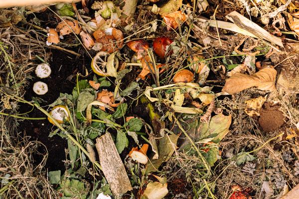 (image : Dániel Gaál)